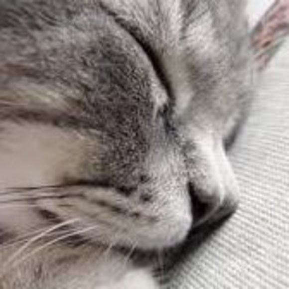 Meet your Posher, Chris - Picture 1 of 1